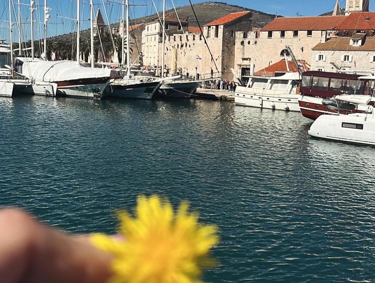 Apartments Villa Mirella 20 M From The Sea - Free Parking Trogir Dış mekan fotoğraf